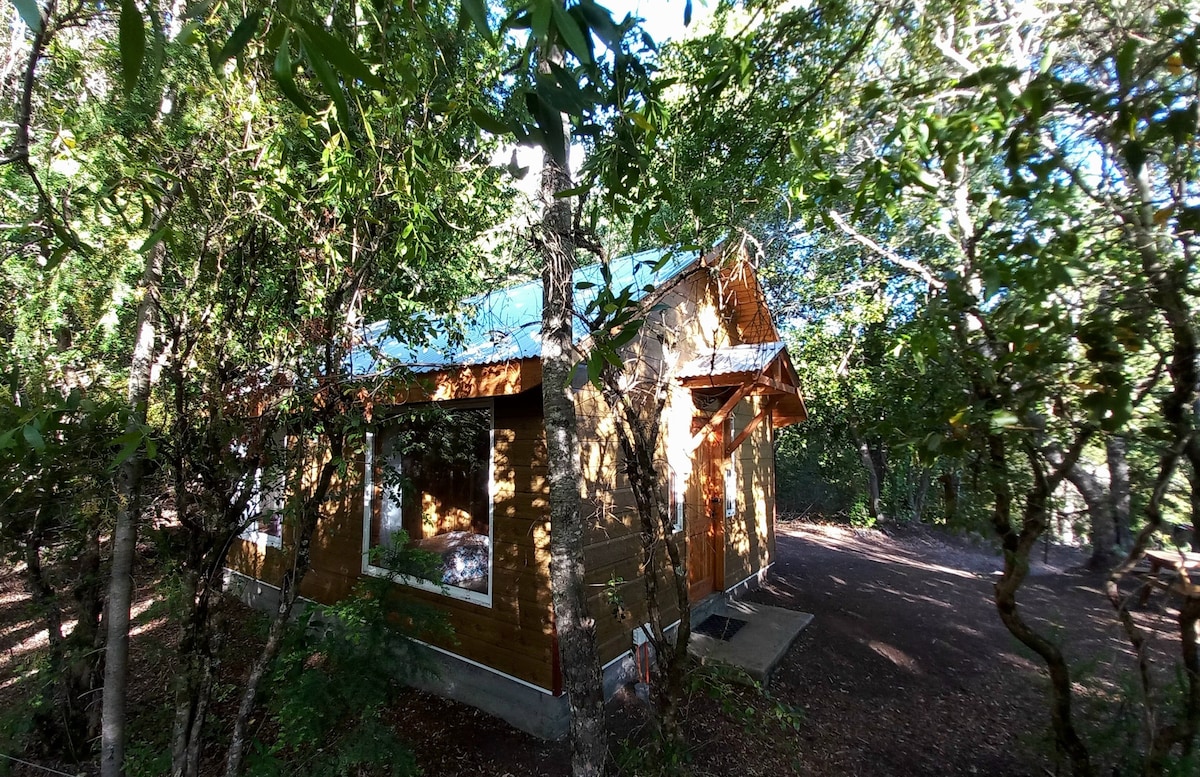 Conguillio公园的Coihue小木屋，可供三人入住！