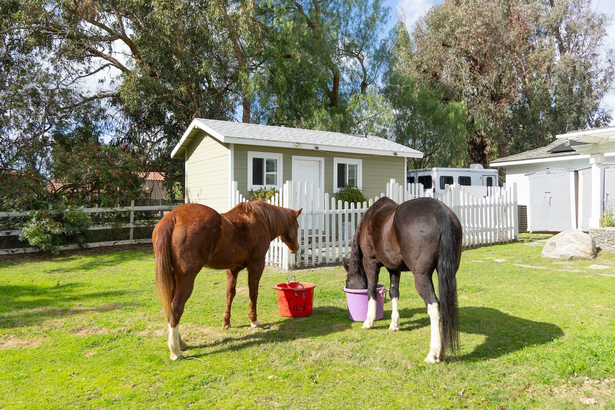 马上房源的温馨小屋！