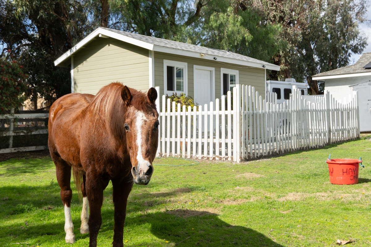 马上房源的温馨小屋！