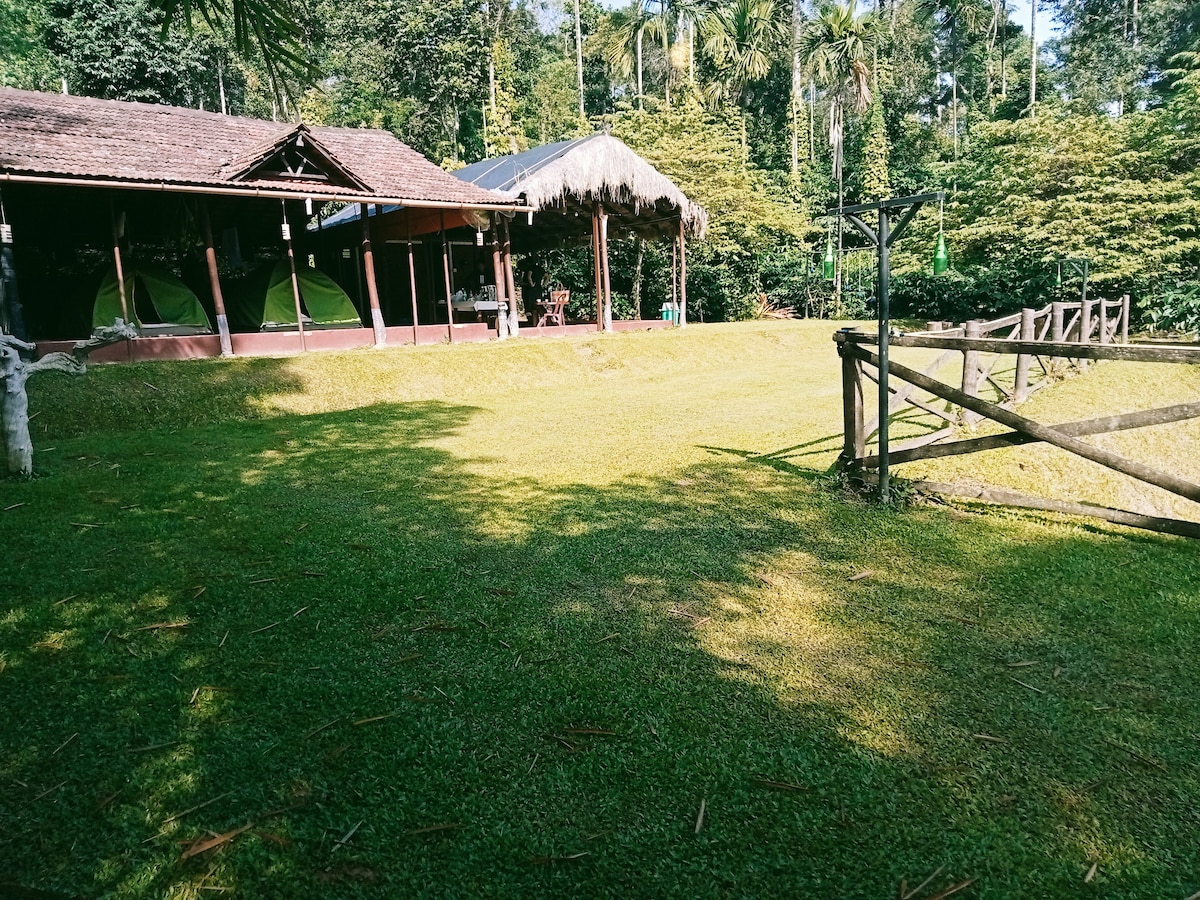 Wood Shack campsite