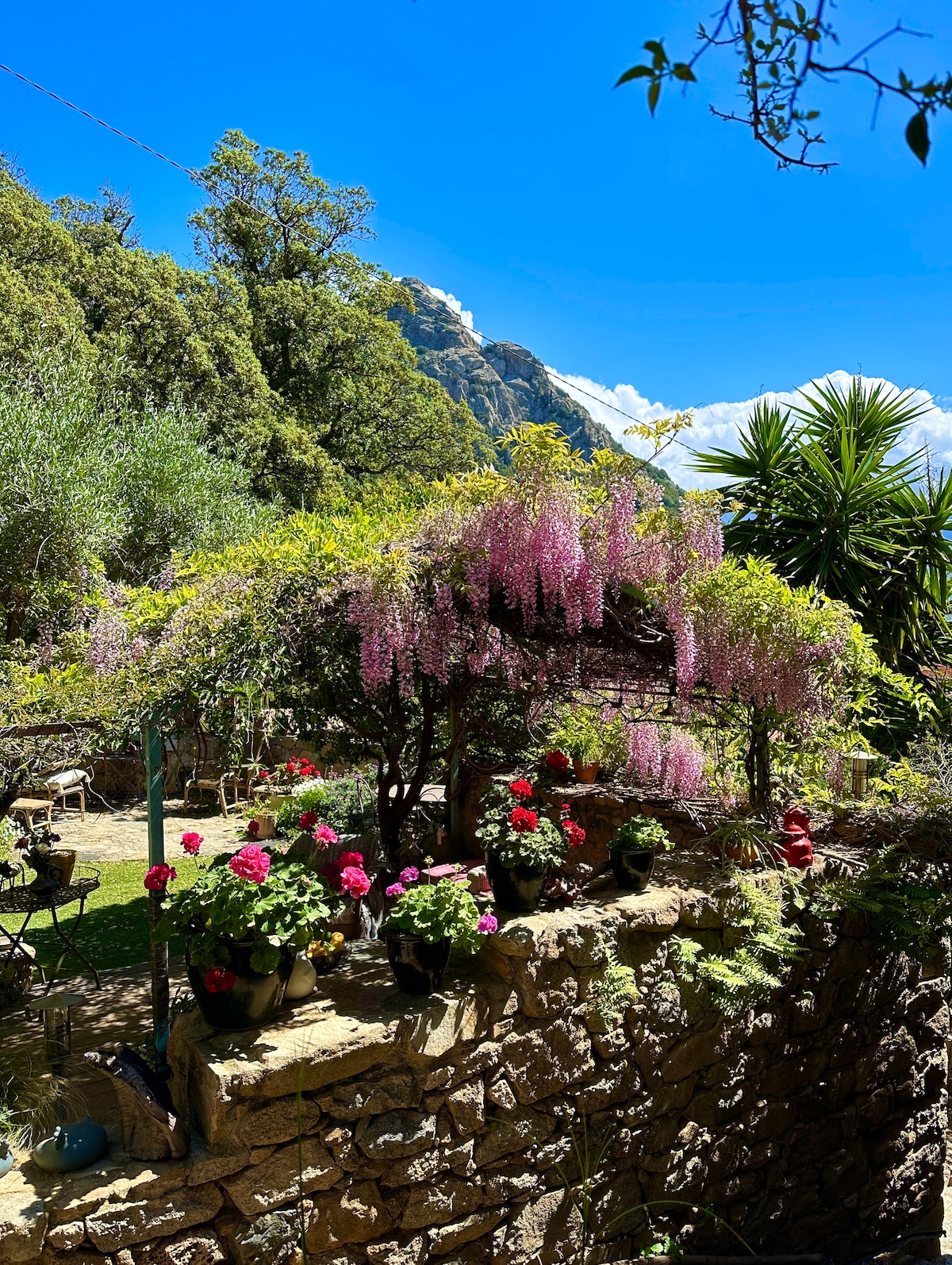 Calme et sérénité, sur les hauteurs de Lumio