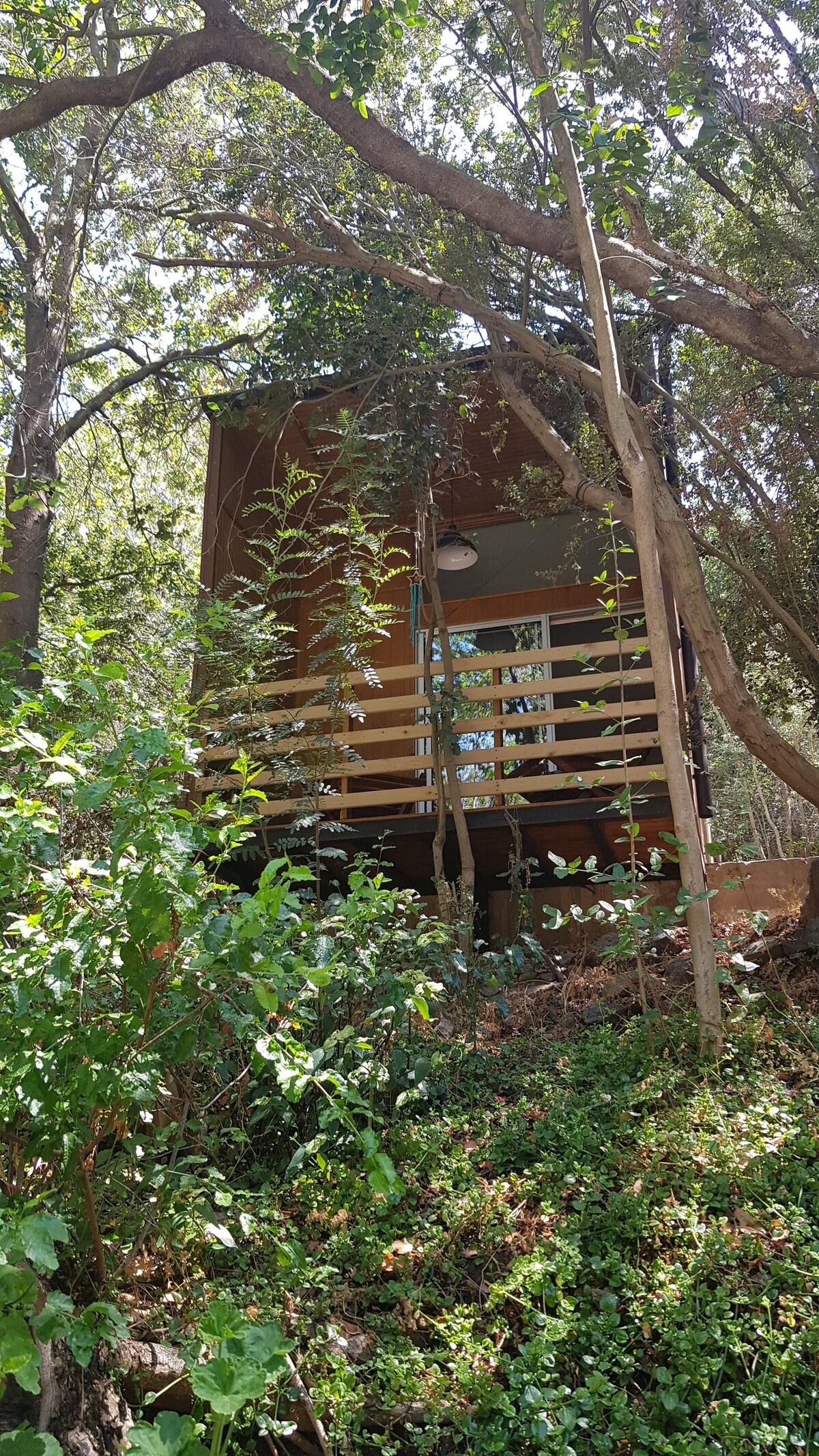 Cabaña refugio, Parque Nacional La Campana,  Olmué