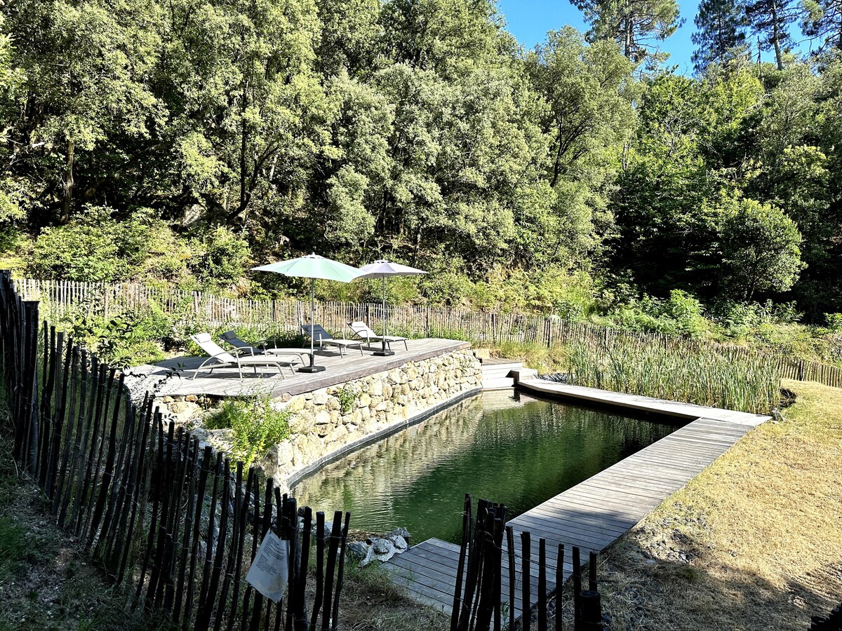 Havre de paix avec piscine naturelle