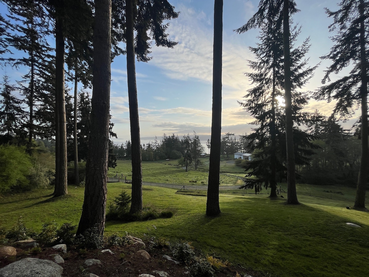 Whidbey Island Vacation with a View