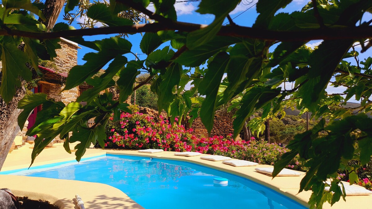 Elissavet cycladic villa with cozy pool