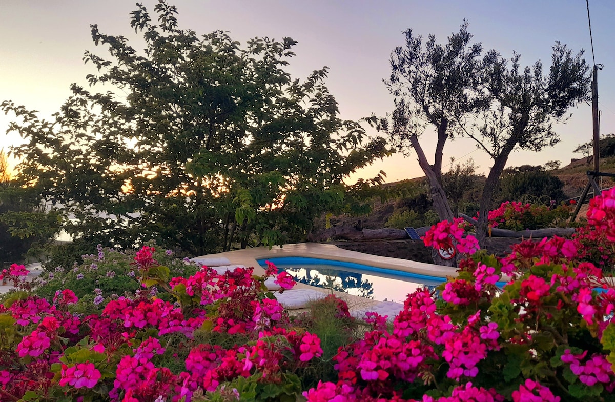 Elissavet cycladic villa with cozy pool