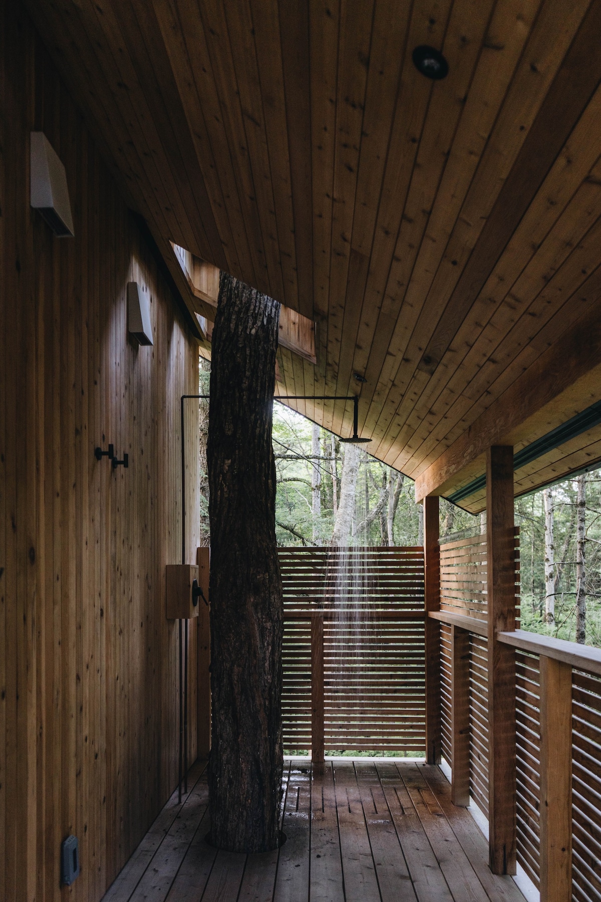 The Baltic by Fort Treehouse Co.