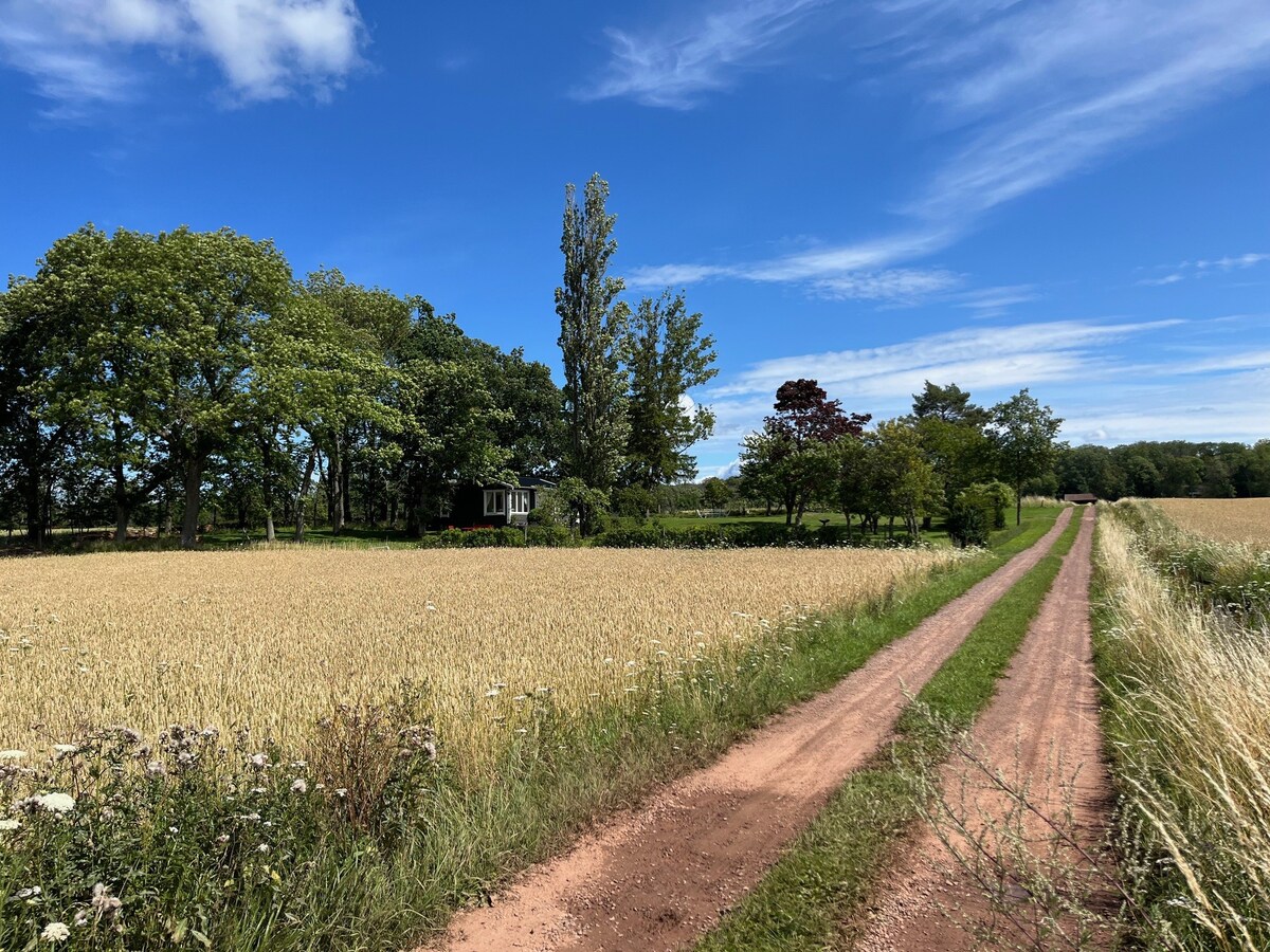 Charmig pärla på Kinnekulle!