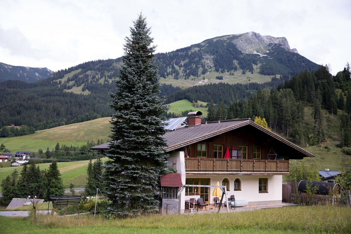 Schneckenhaus exklusiv