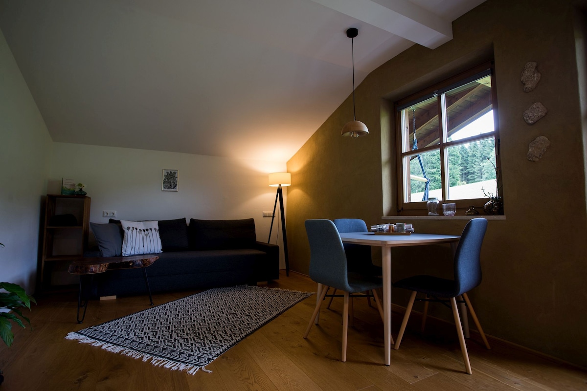 Schneckenhaus - Apartment Nerinea Ost - 43平方米