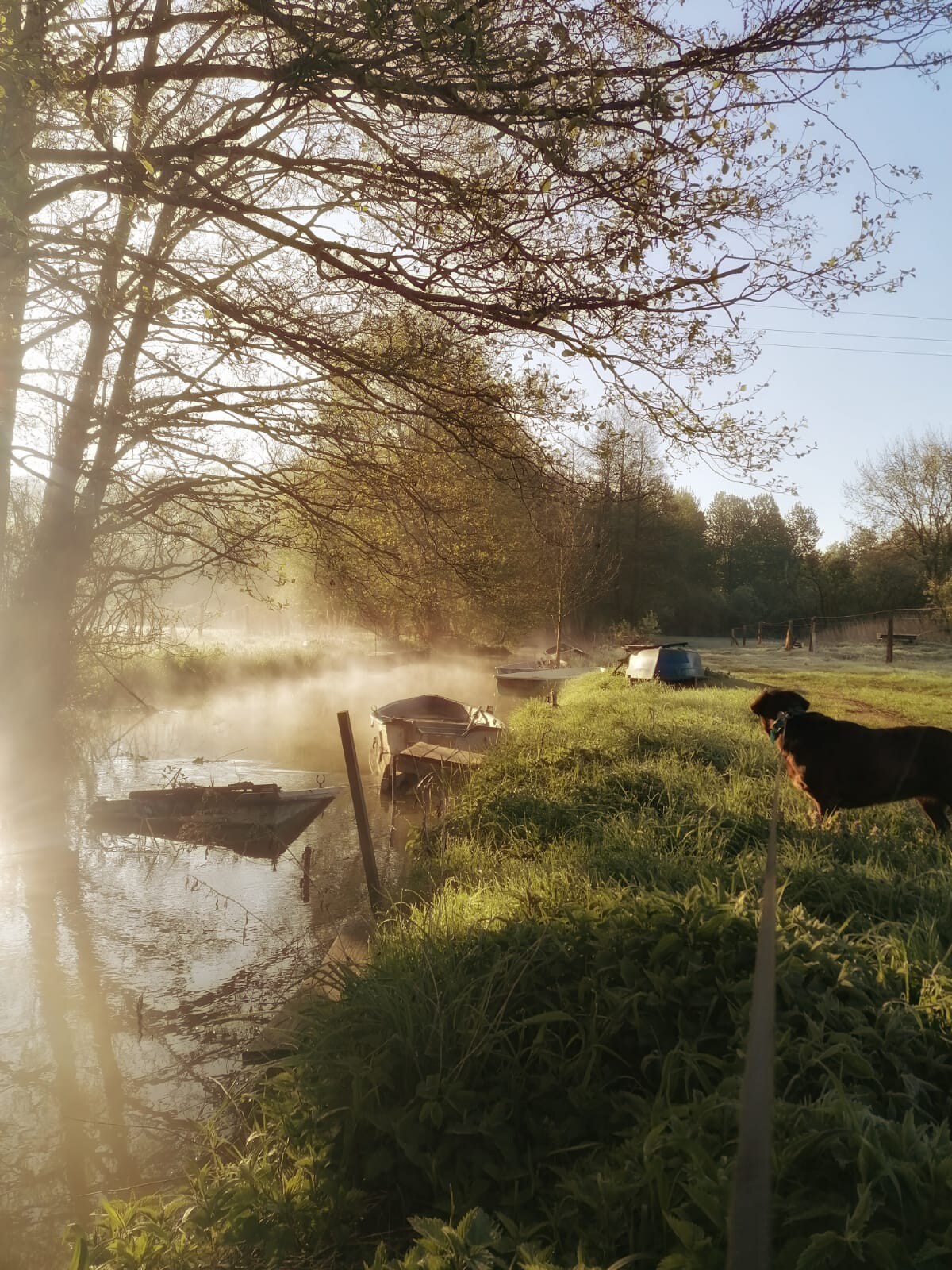 Haus im Naturpark/ Mecklenburgische Seenplatte