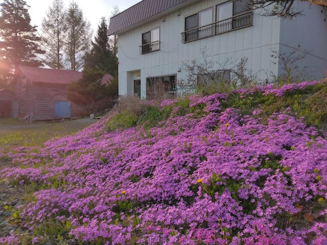 富良野市的民宿