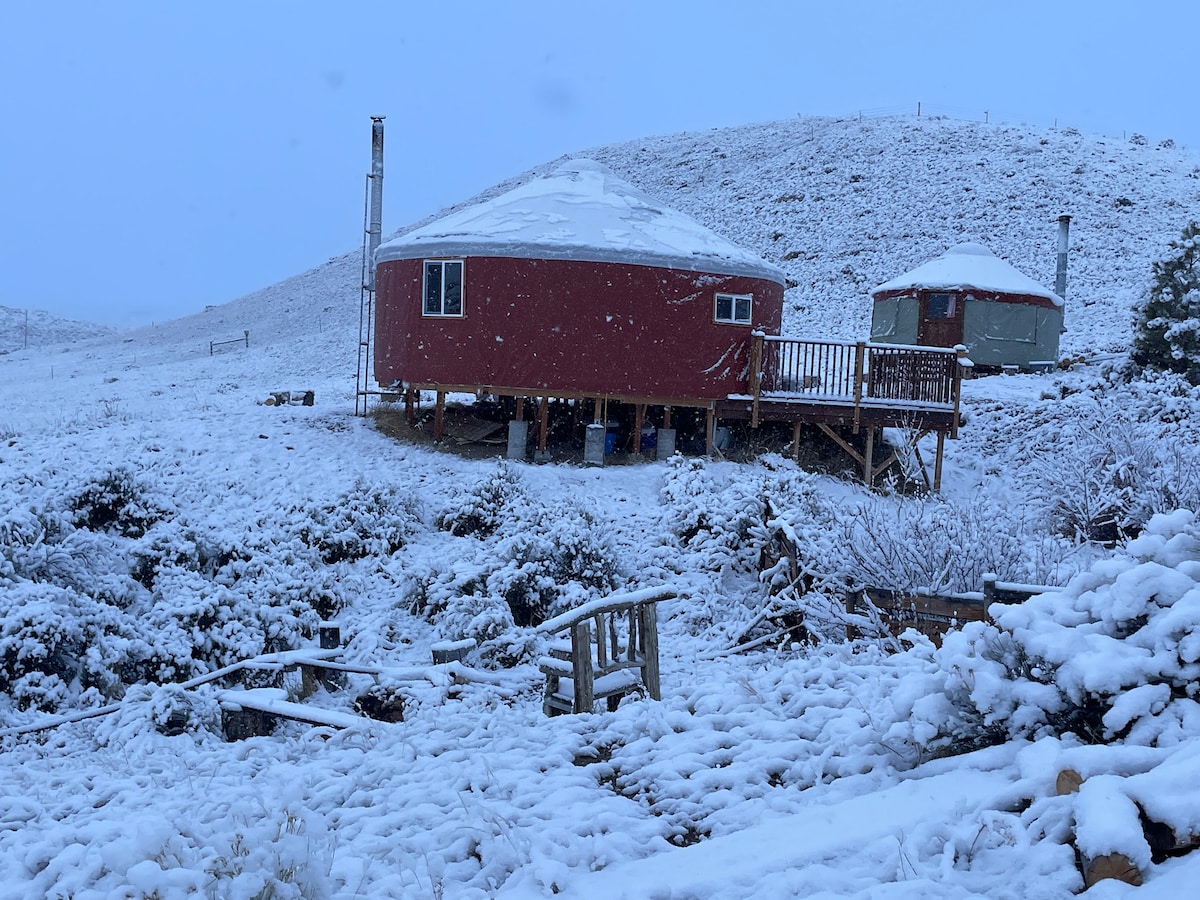 Magpie Springs-Meadowlark Yurt