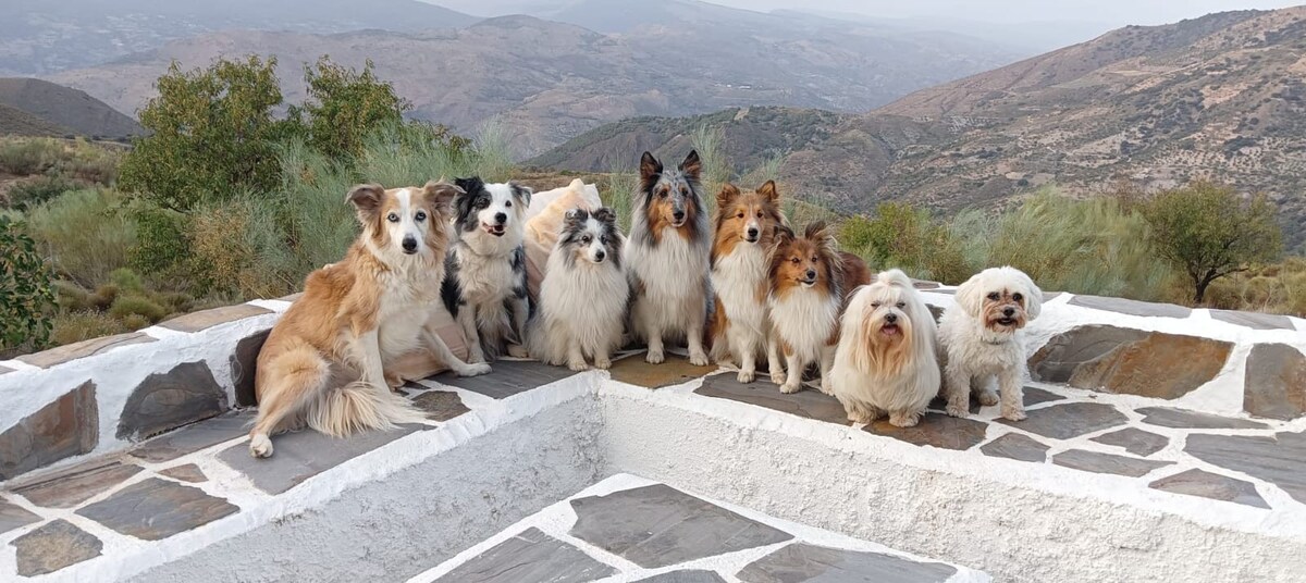 Secluded cottage in the heart of the Alpujarra