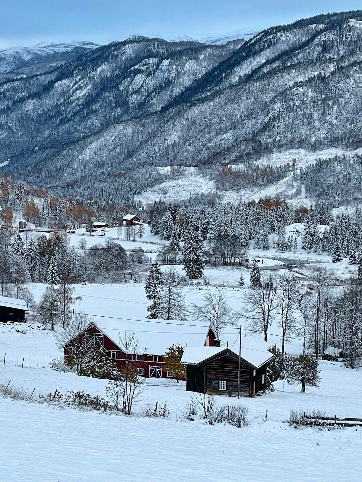 Velkommen til Telemarksidyll på sitt beste!