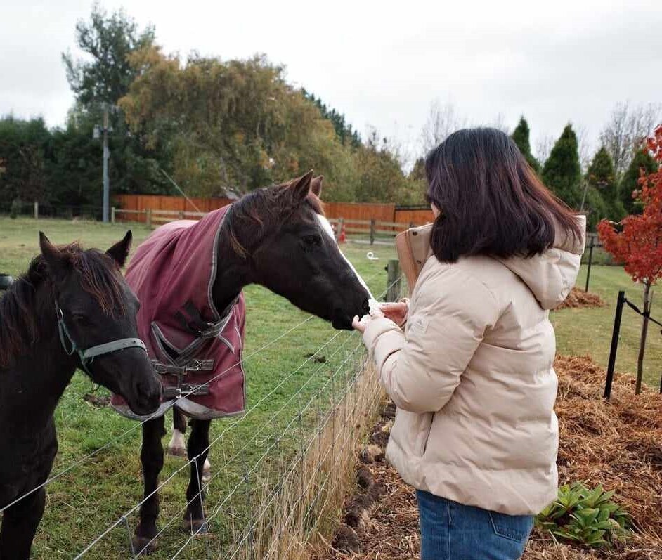 Bennett 's Farm Stay。