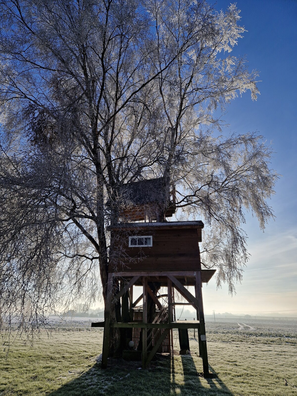 Laura 's Cabane