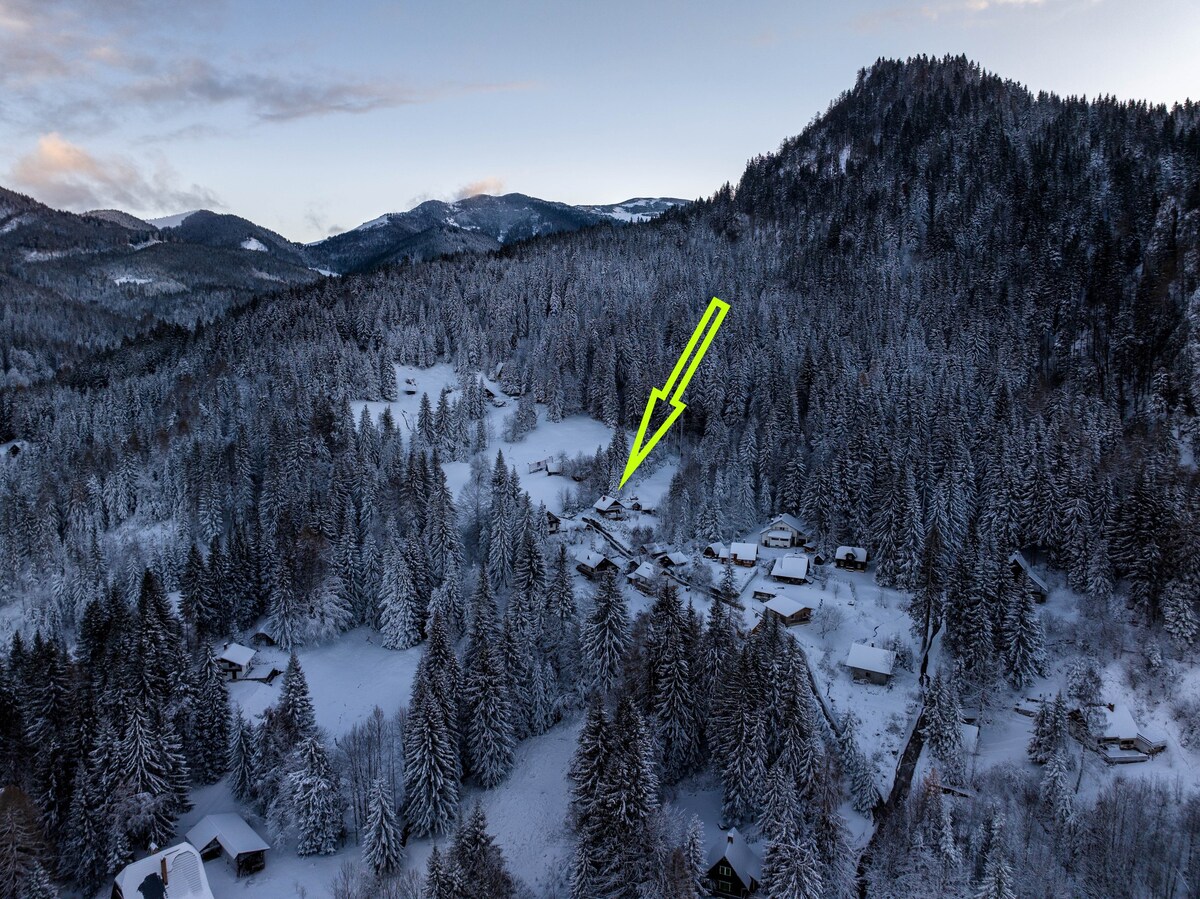 俯瞰布莱德附近朱利安阿尔卑斯山的小屋