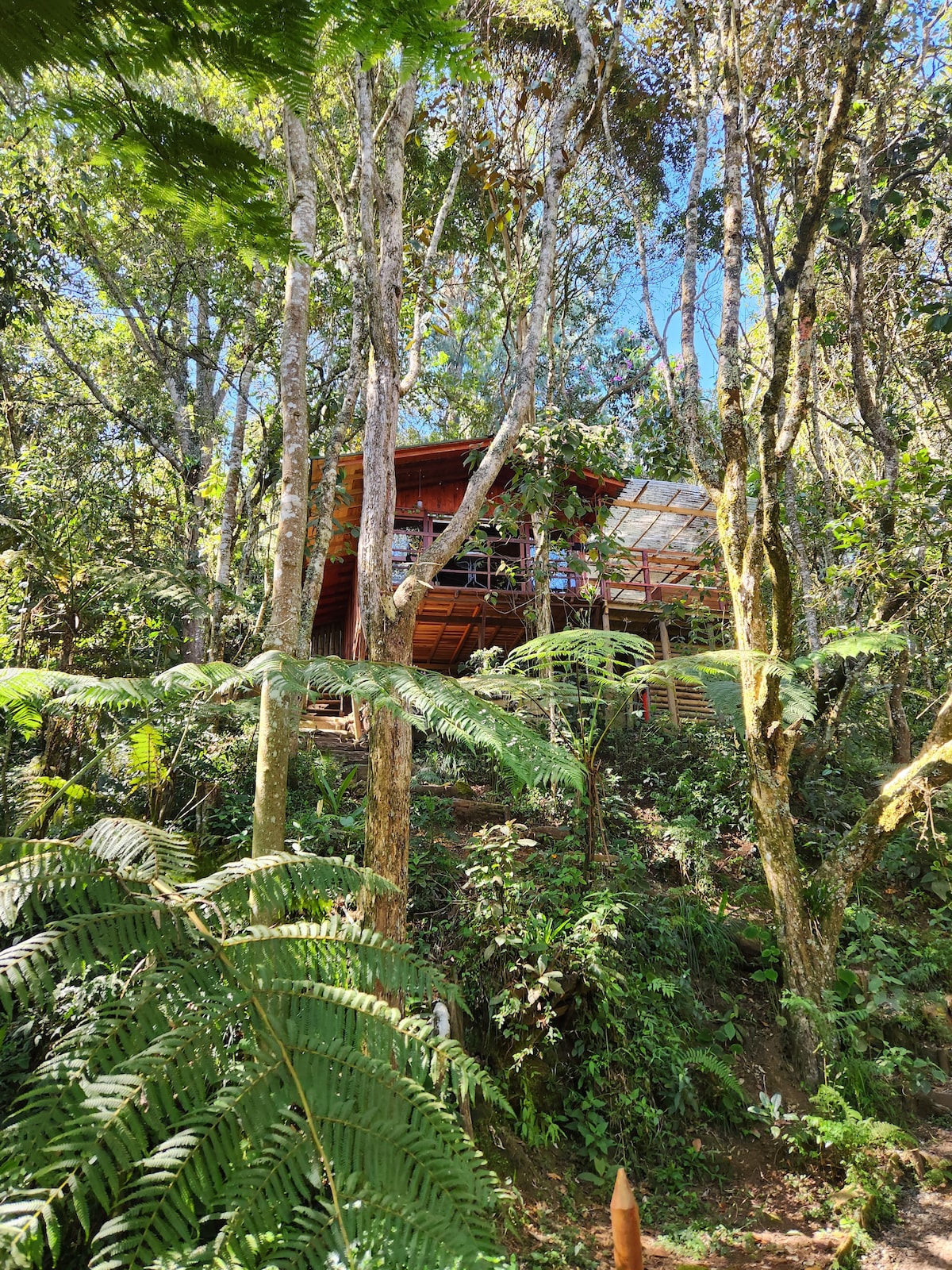 Cabaña en El Bosque con Jacuzzi - Santa Elena