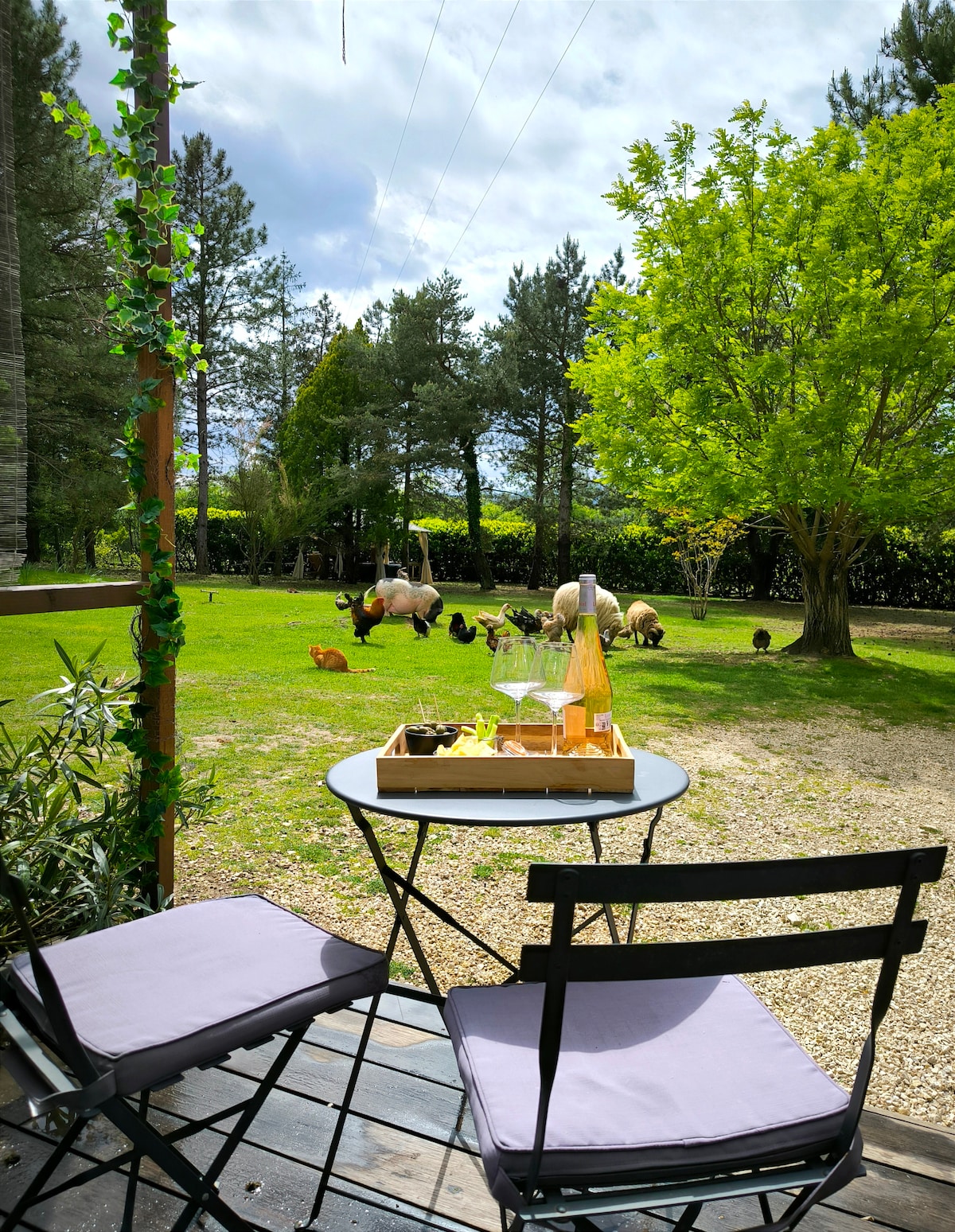 Studio Sous les Pins en Drôme Provençale