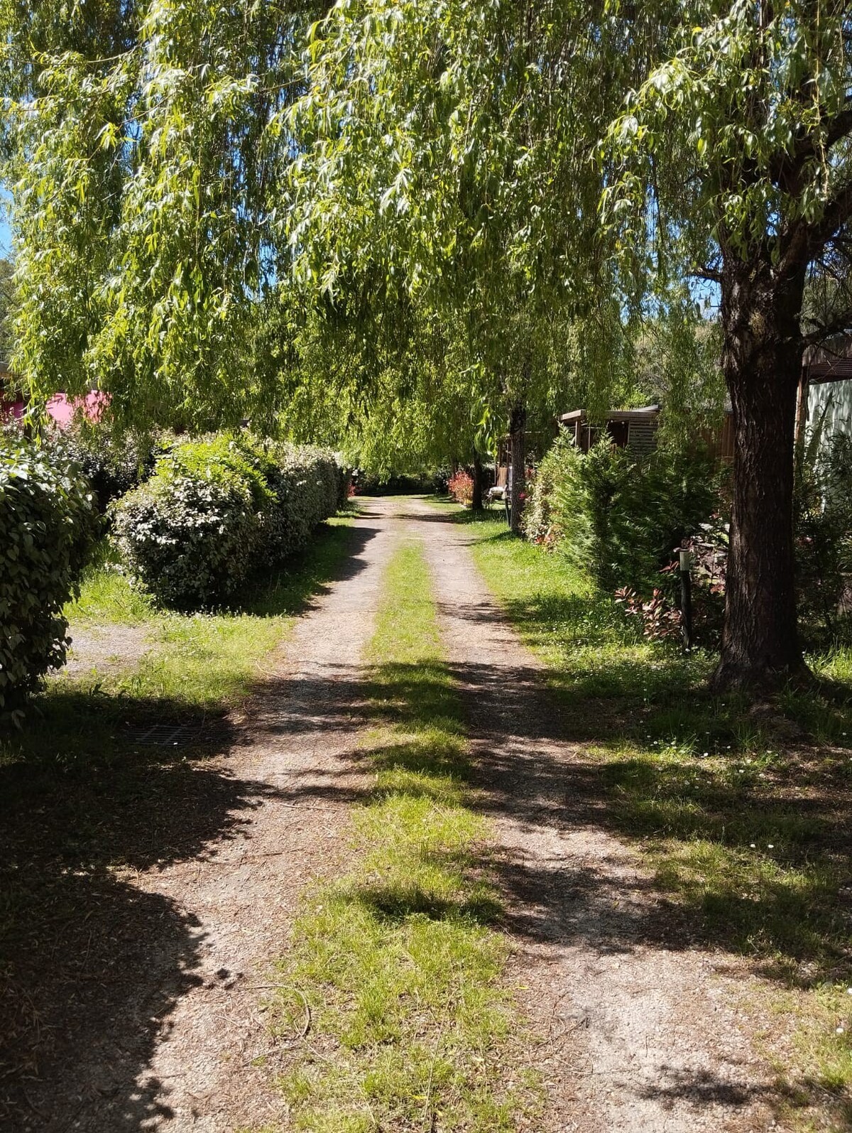 Chalet en Bois paisible et reposant.