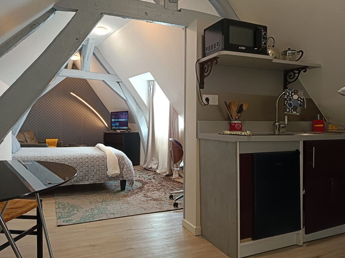 Attic studio, fully furnished, city centre