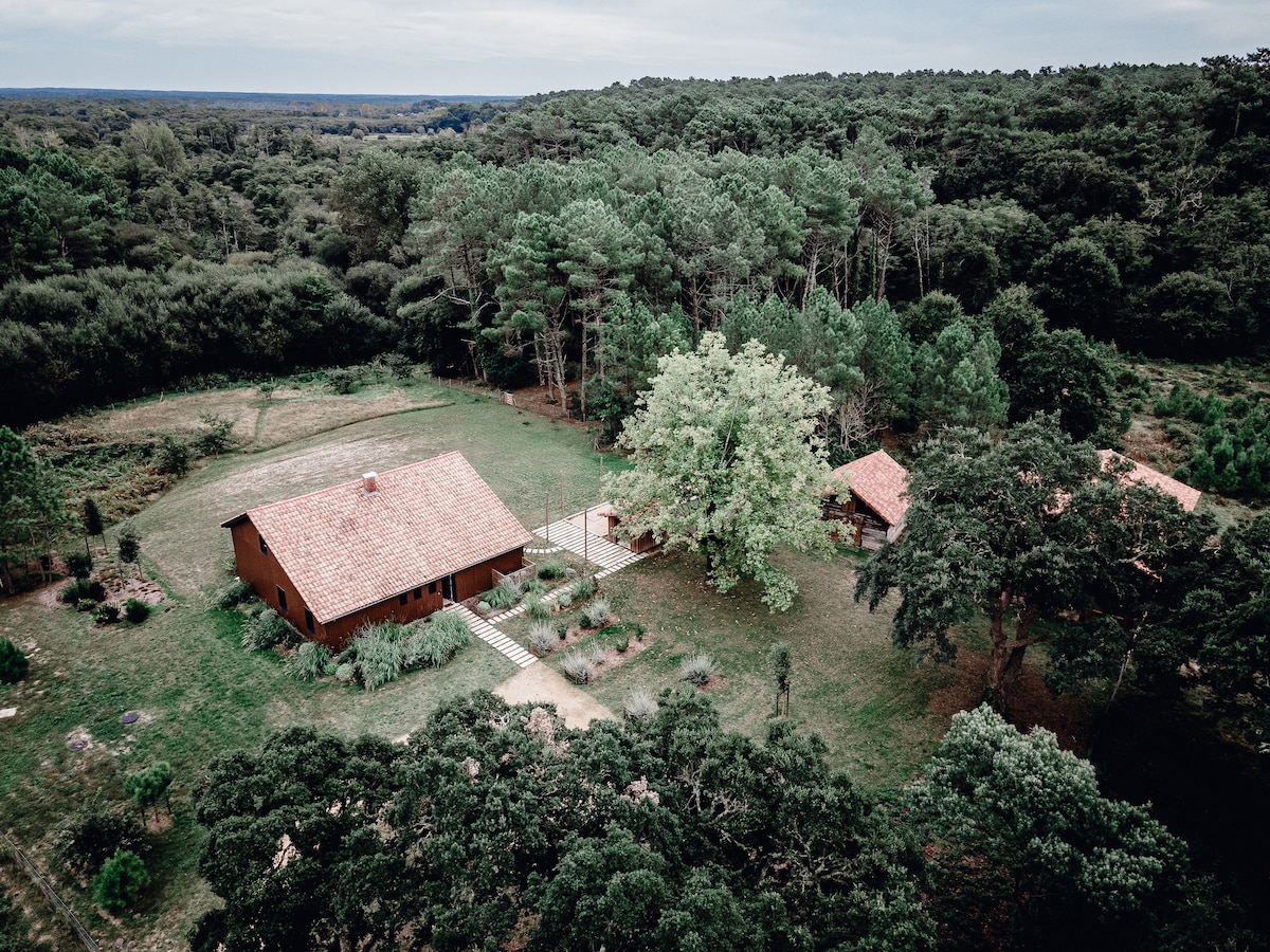 Magnifique villa pour 10 personnes à 2km de Contis