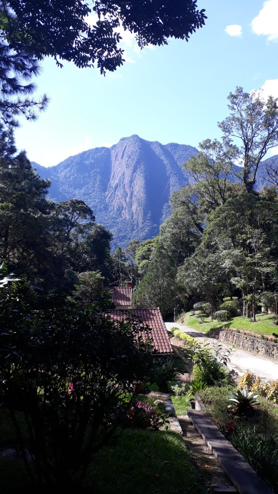 Descubra a riqueza da paz