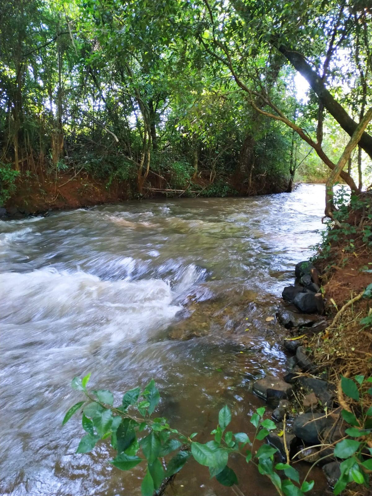 Chácara Boa Vistha  com Piscina Incrível e Riacho