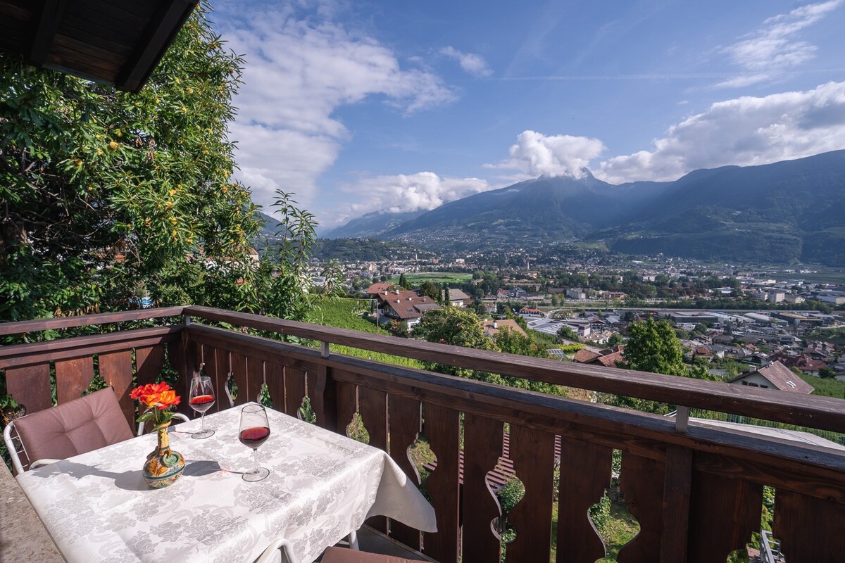 Wohnung "Mutspitz" mit Balkon