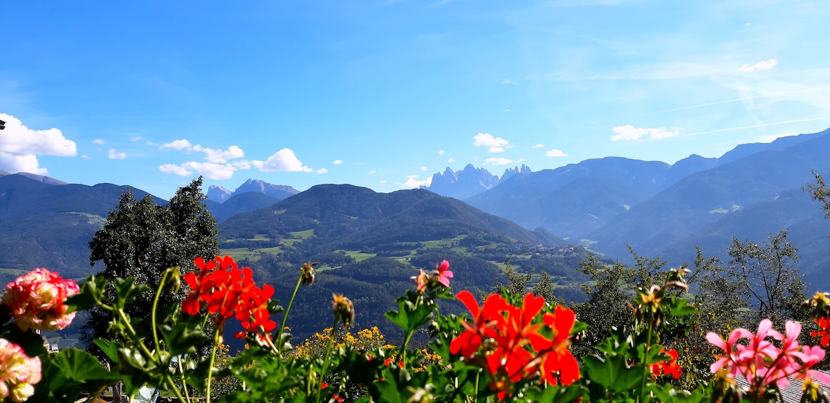 Agriturismo-appartamento con vista sulle montagne