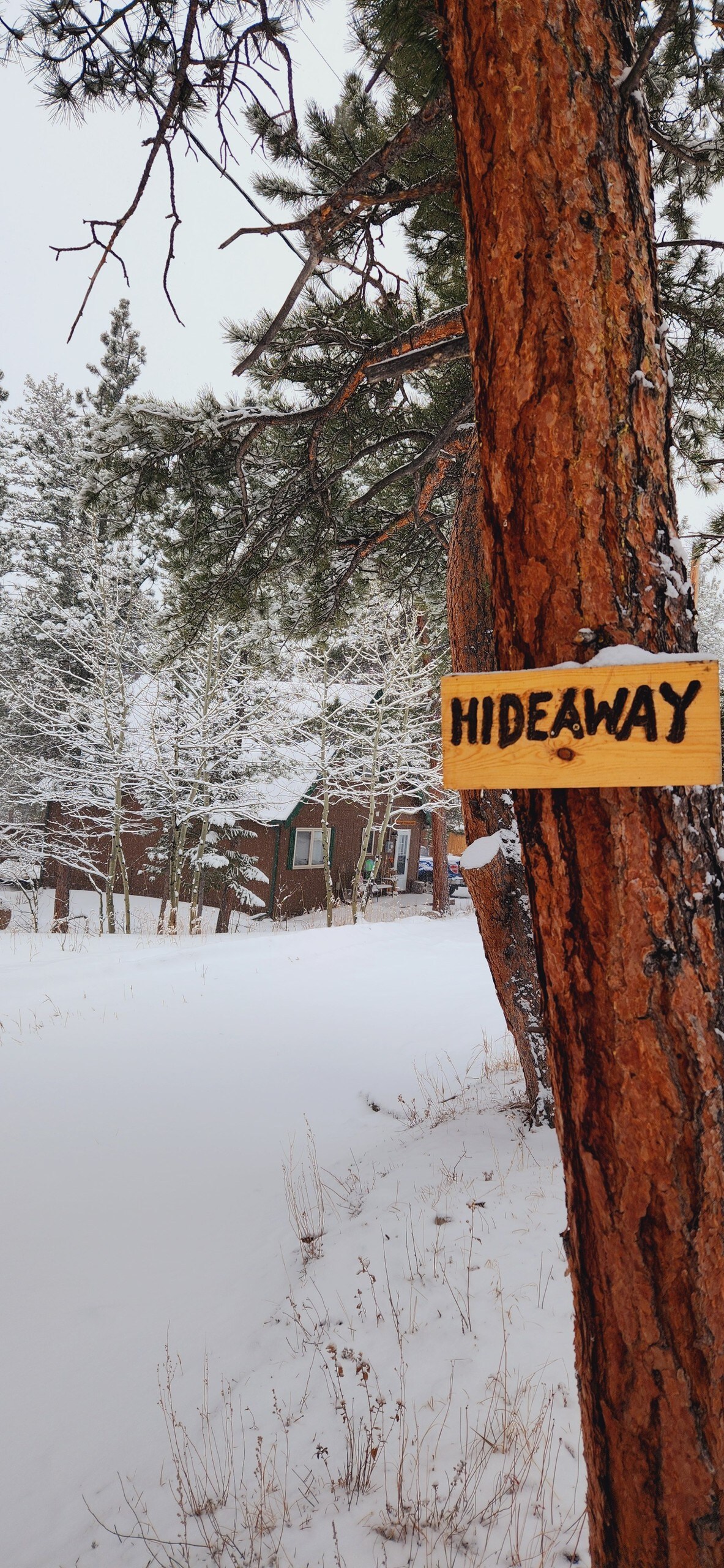 安静的冬季度假屋： The Hideaway @ Wild Basin