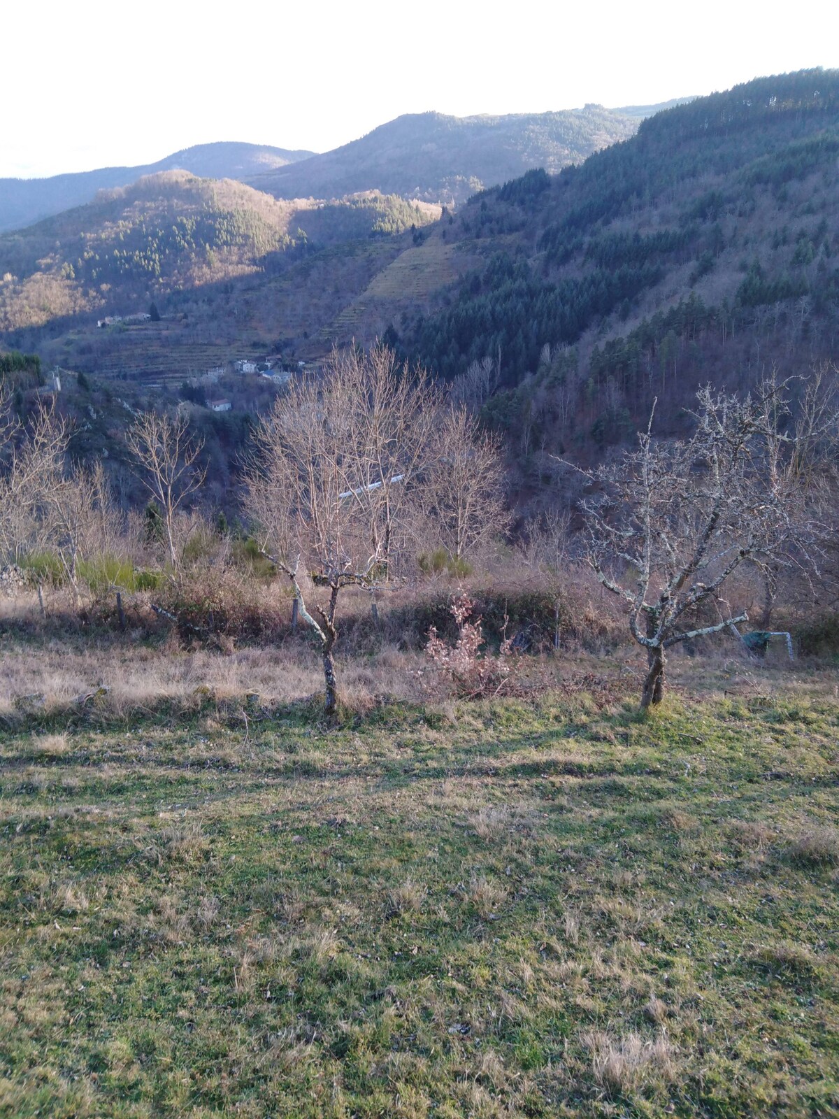 Charmante maison en pleine nature et au calme