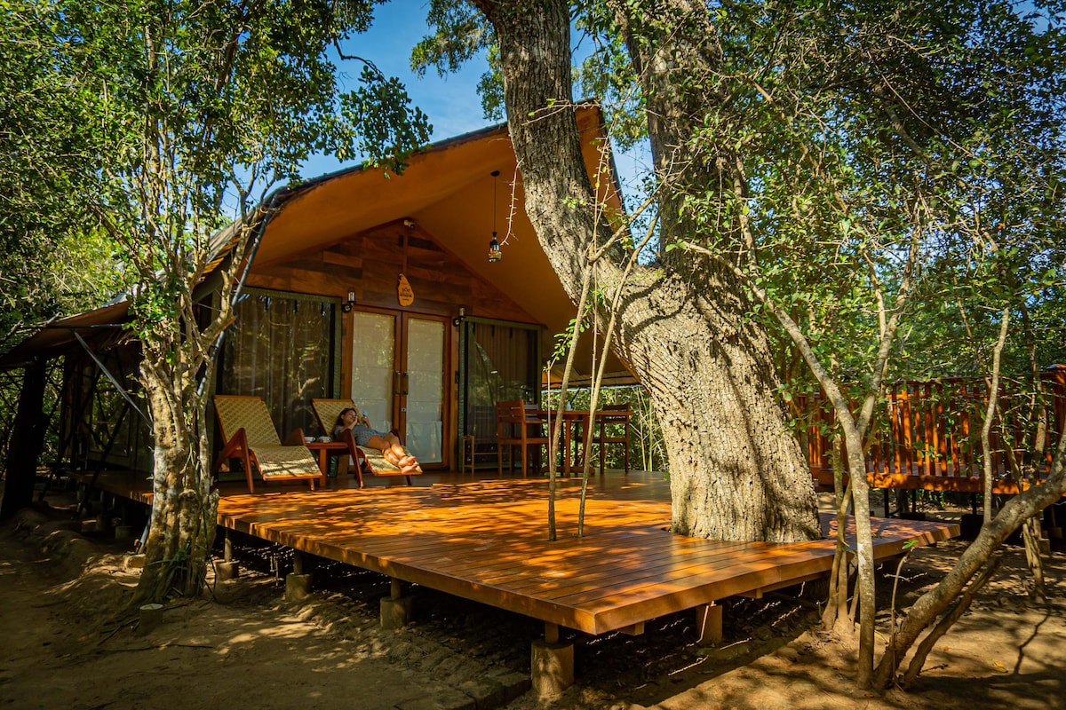 LUXURY GLAMPING AT YALA SRI LANKA