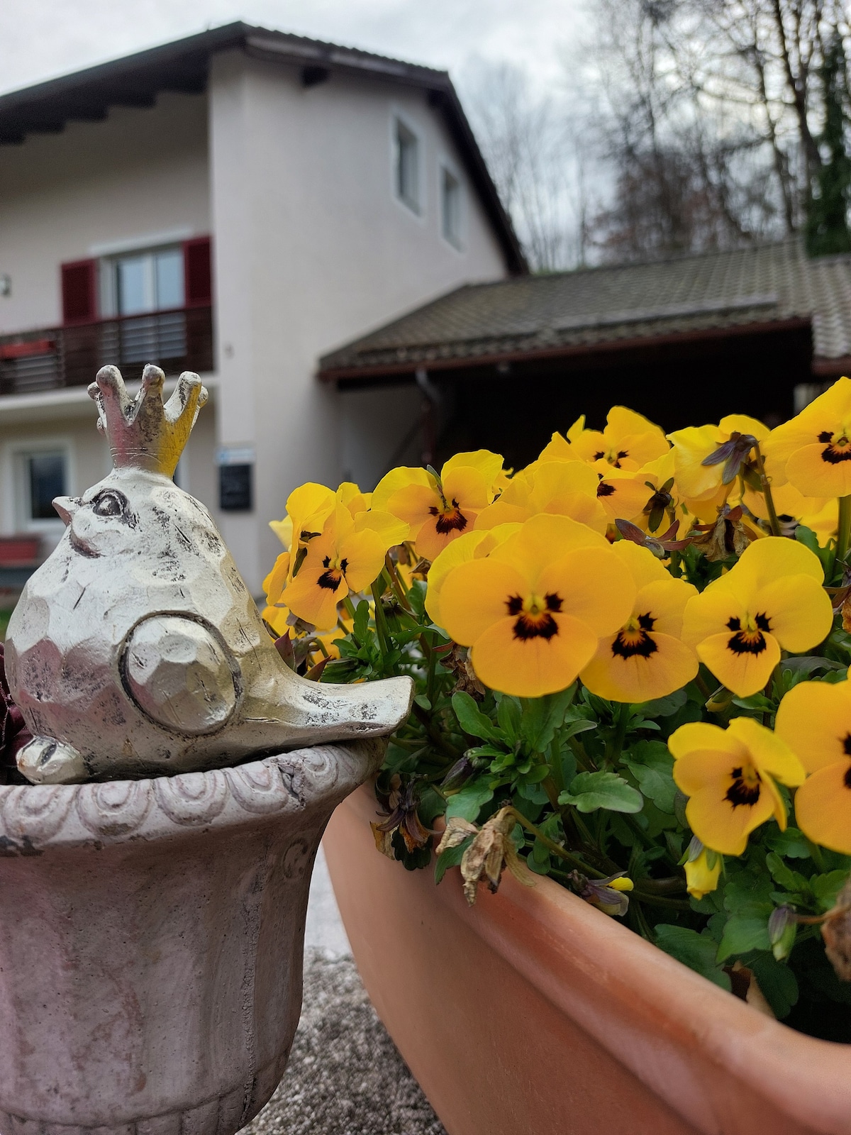 Naturnahe Ferienwohnung im Berchtesgadener Land