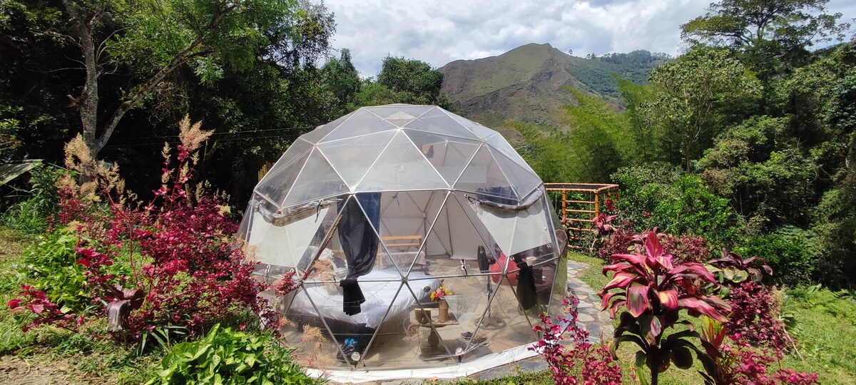 El Domo Glamping de Colibamboo Experiencia natural