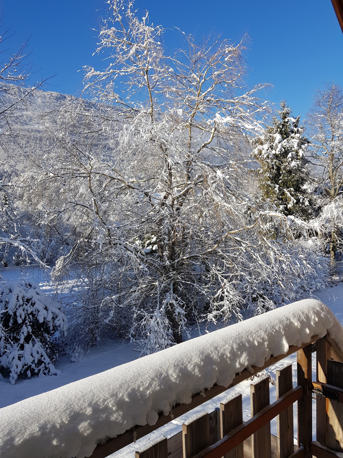 bel appartement 45 m² calme sur jardin avec vue.