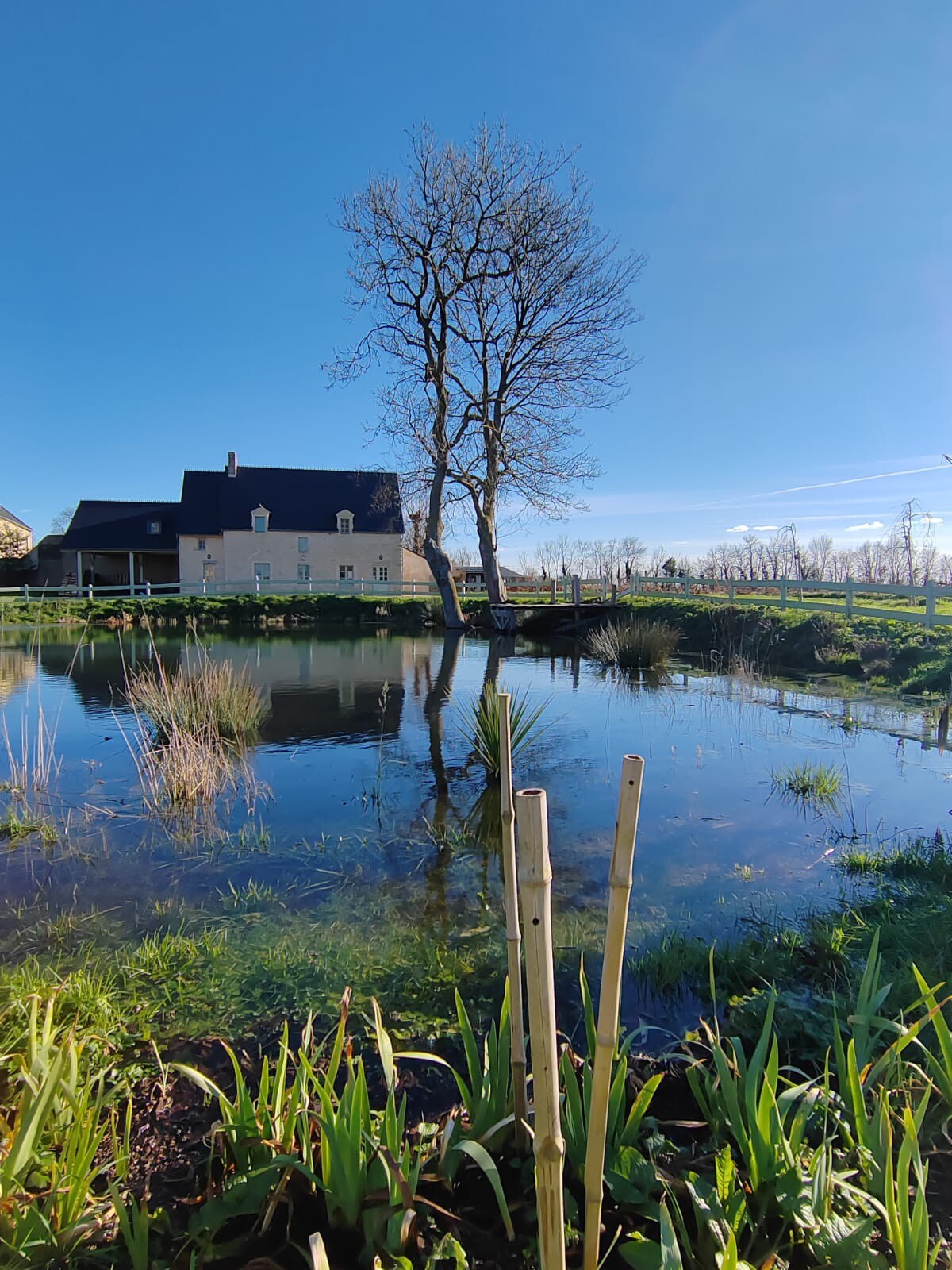 La maison du colombier de Canchy