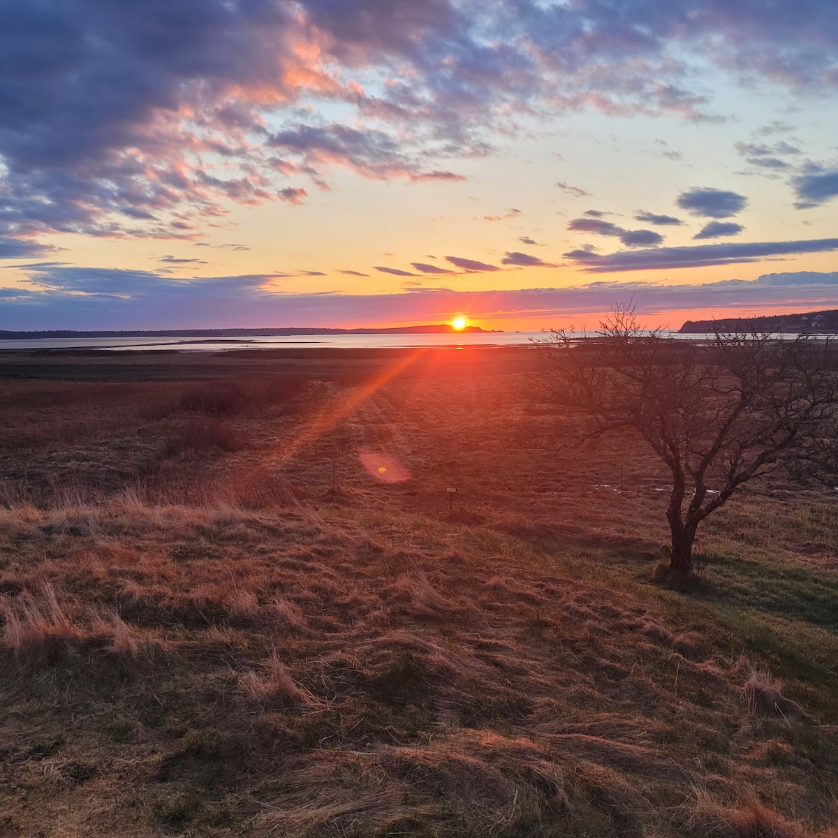 Sunrise by the Sea~ Seaside Cottage~ Pet Friendly