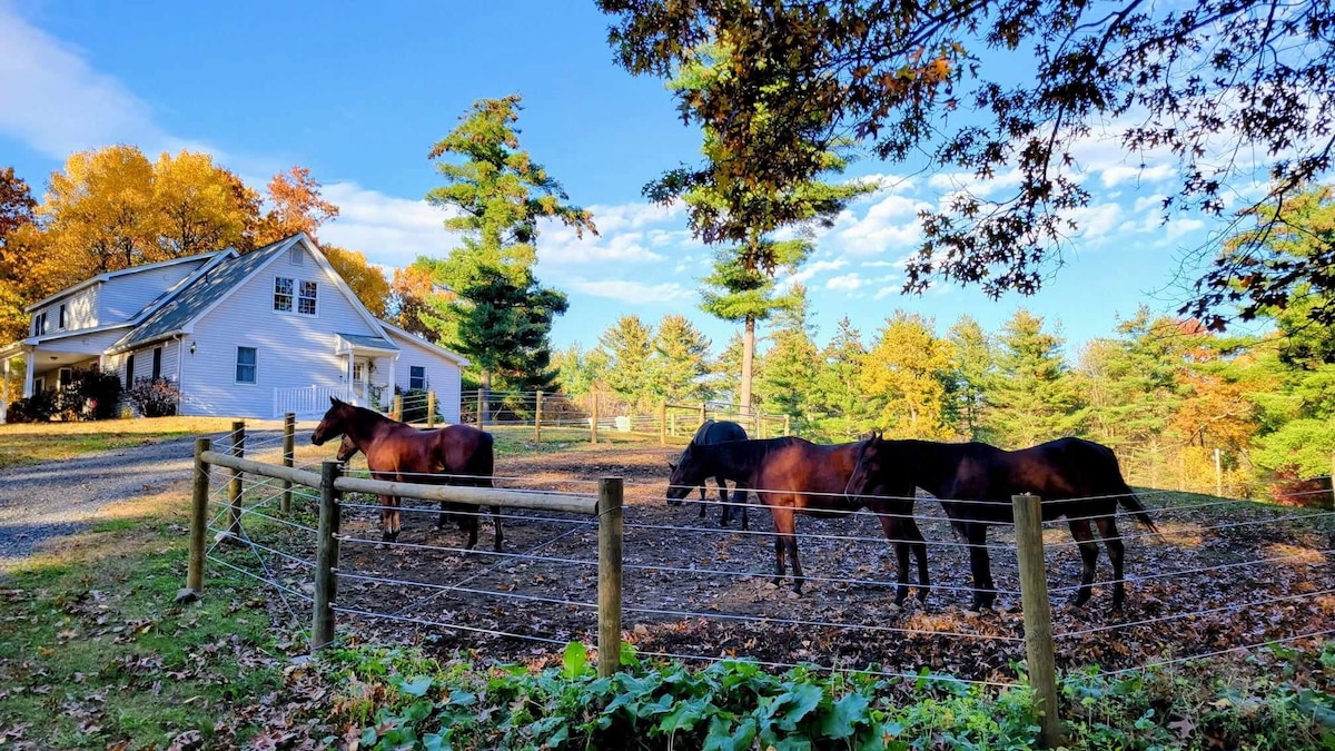 Magical 1-br suite on 65 acre horse property