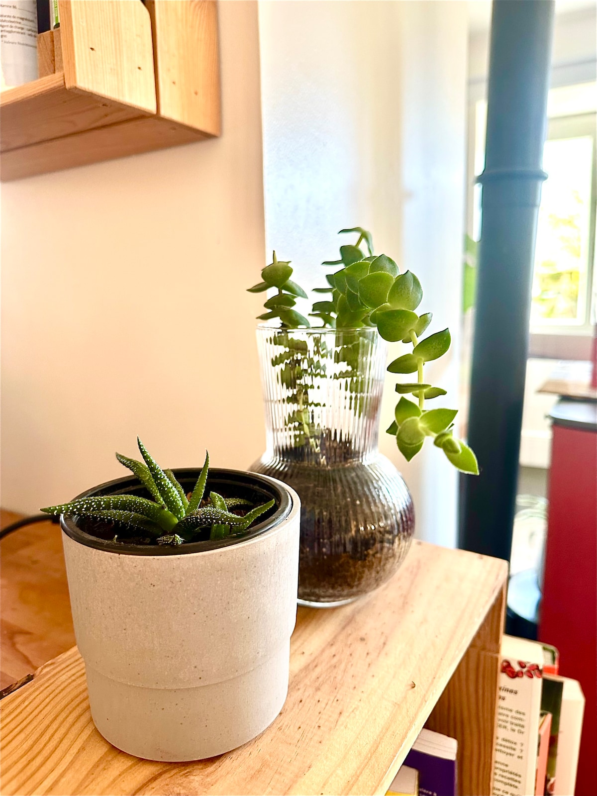 Jolie maison avec jardinet et parking