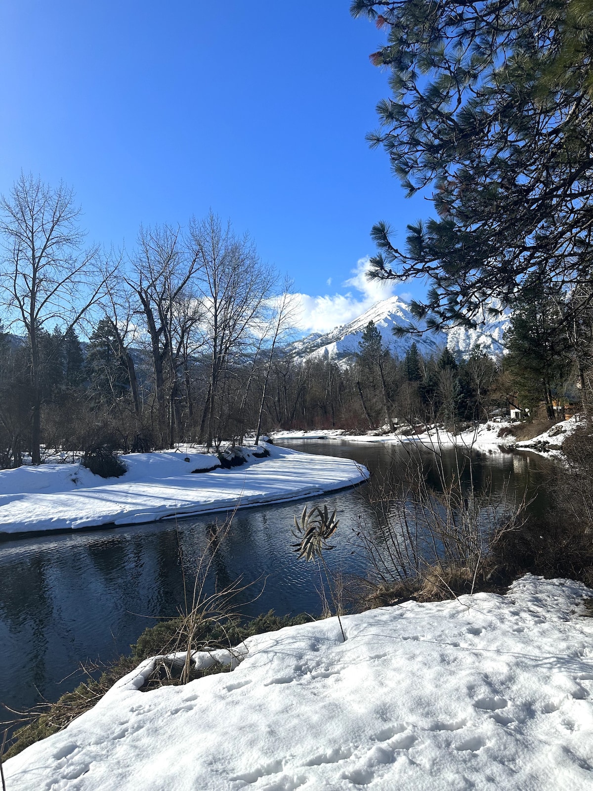 Waterfront Cabin, Hot-Tub, Mtn views, Sauna & Wifi