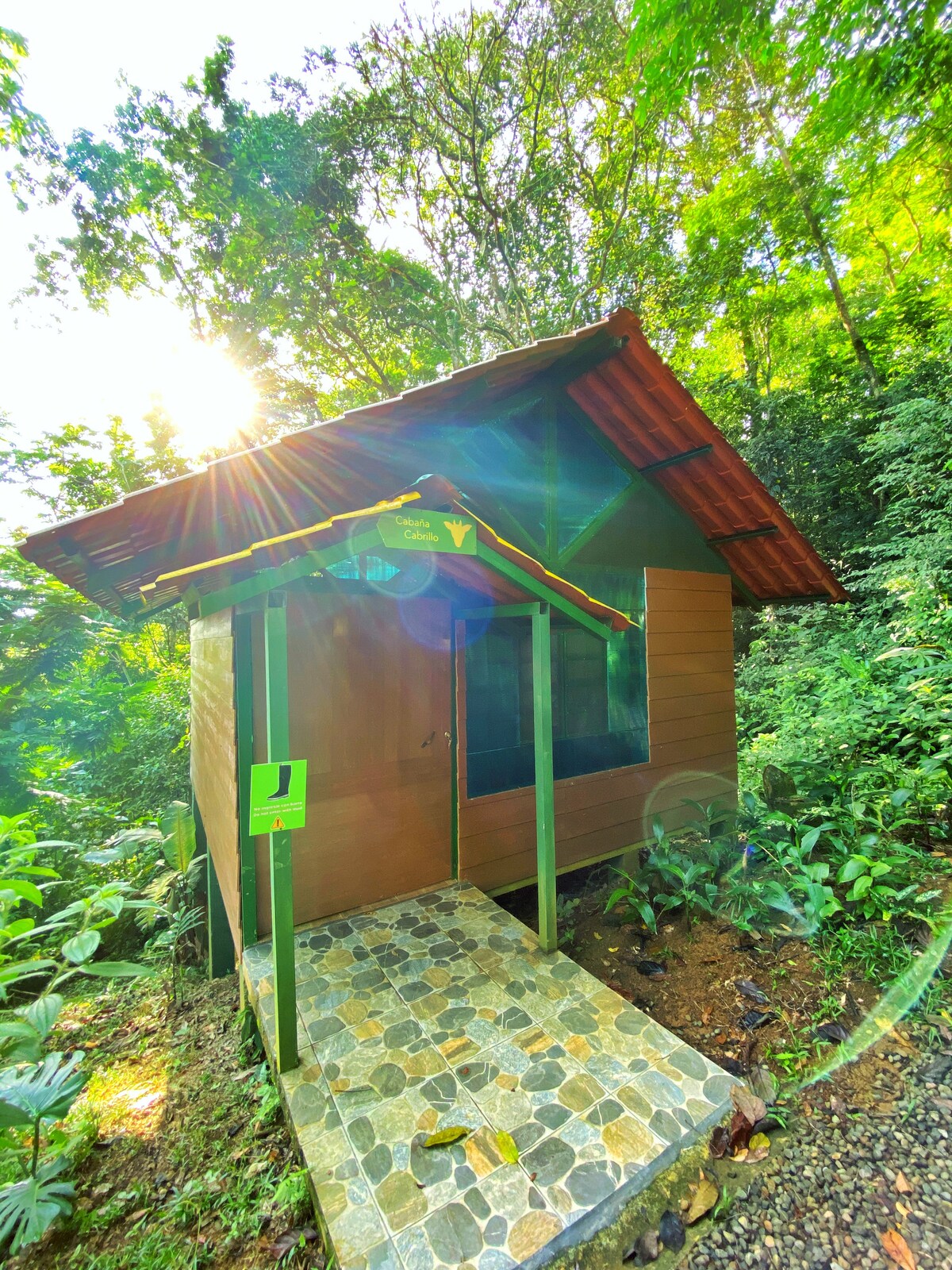 Immersed Wood Cabin in Nature's Reserve!