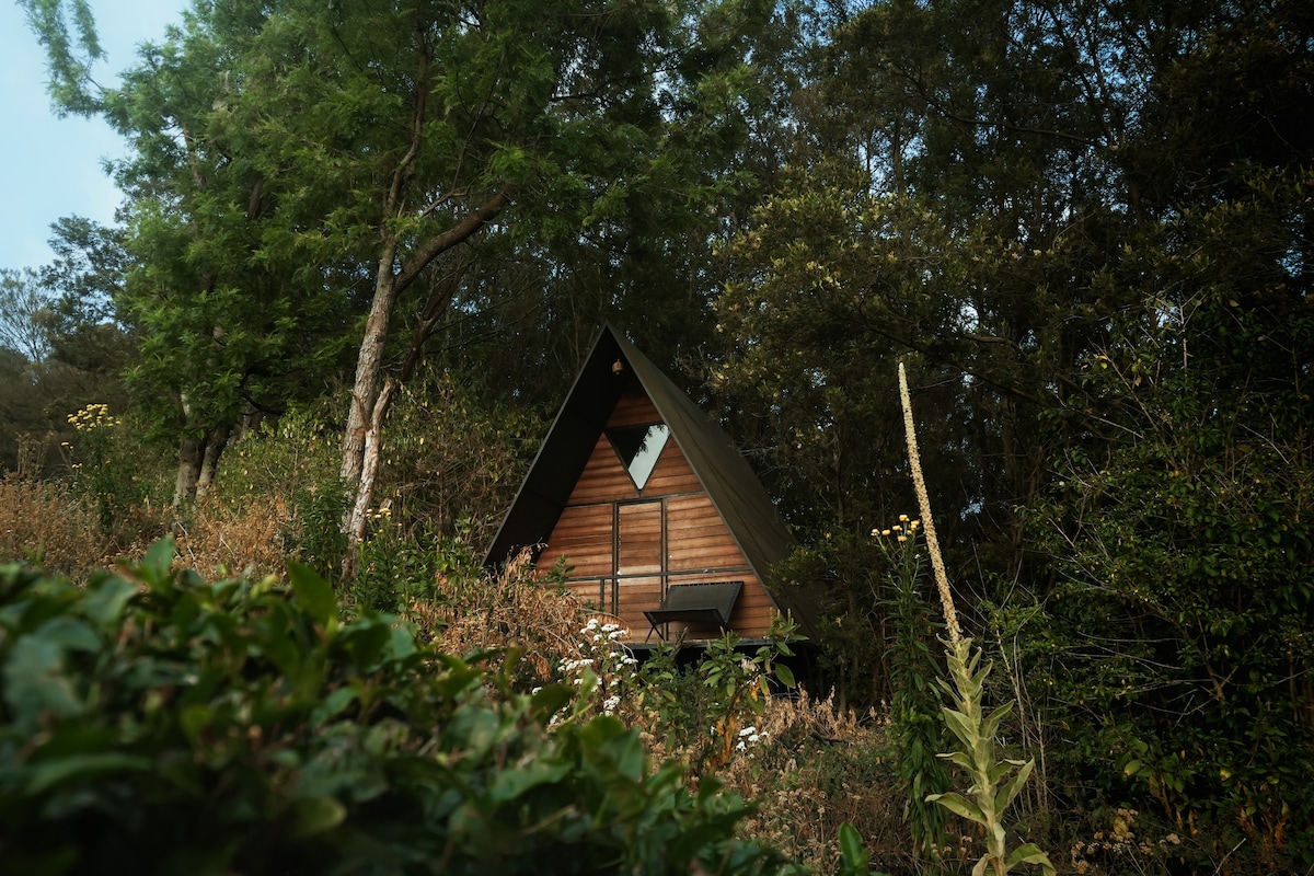 A frame Cabin Ooty