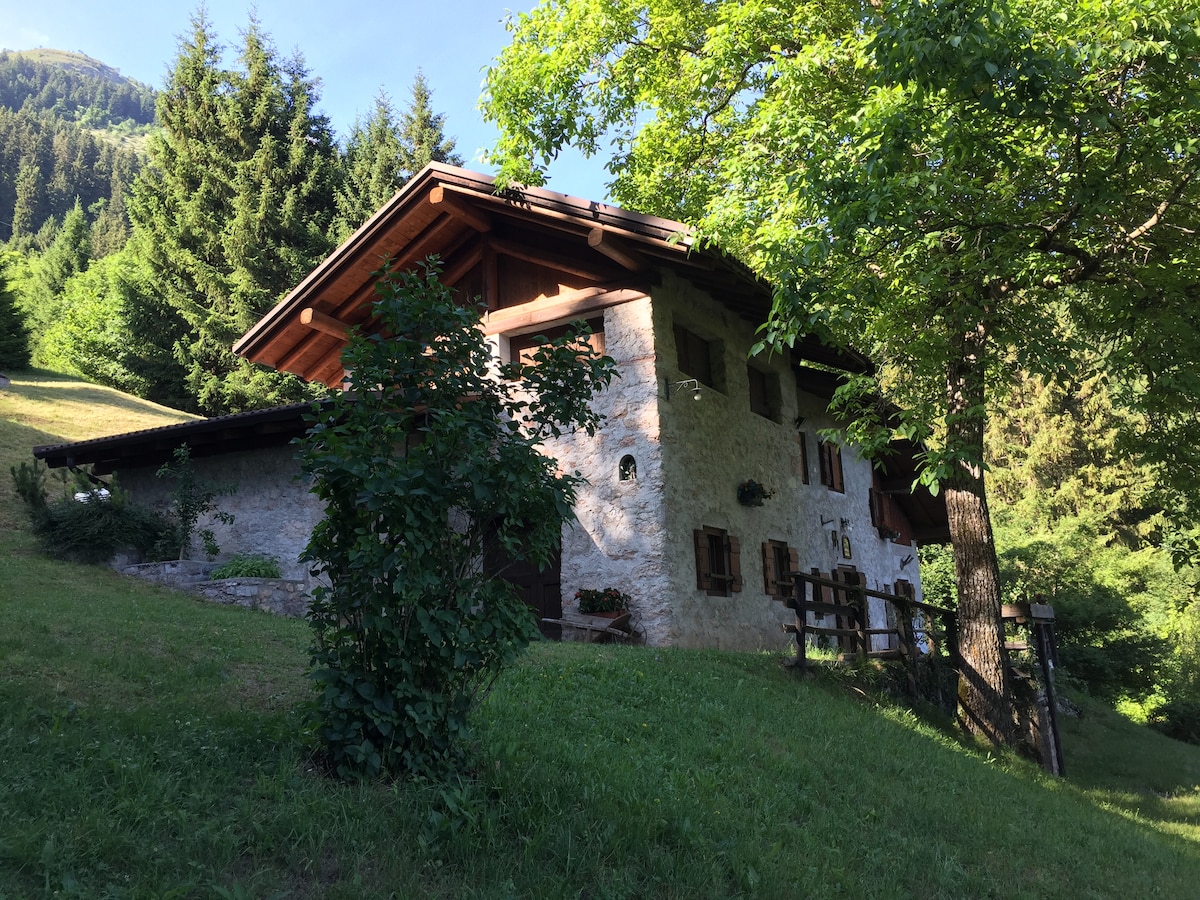 Chalet nelle Dolomiti di Brenta