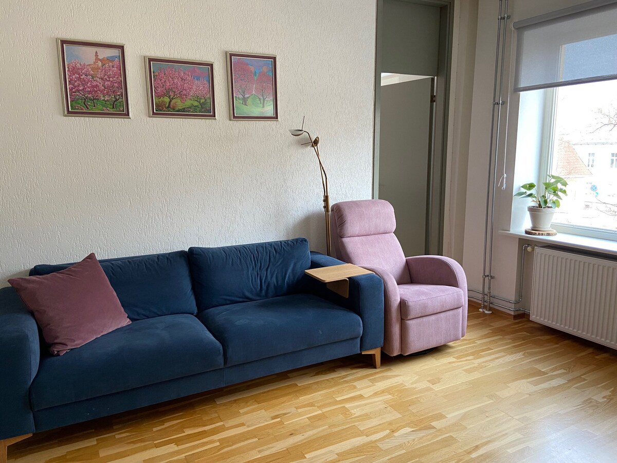 Cozy 3-bedroom flat in the heart of Tartu