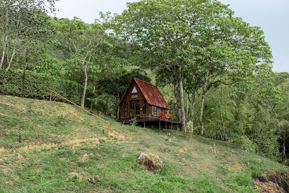 瓜德瓦斯热带山景小木屋