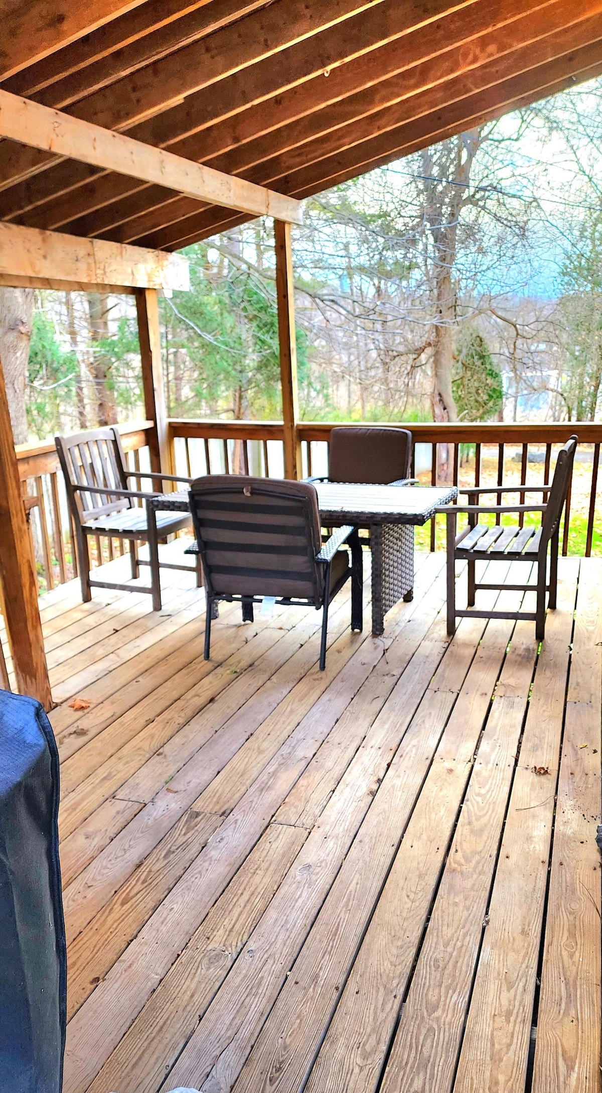 2-br cabin in wooded Jamesville. Dogs welcome!