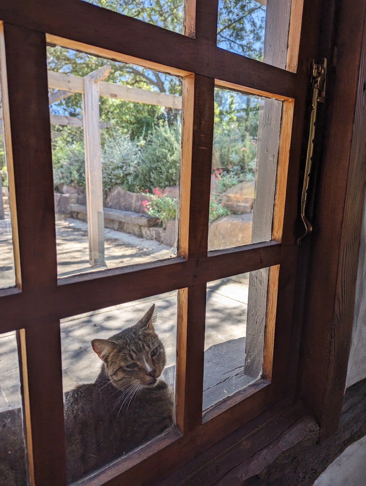 鸭子山乡村小屋