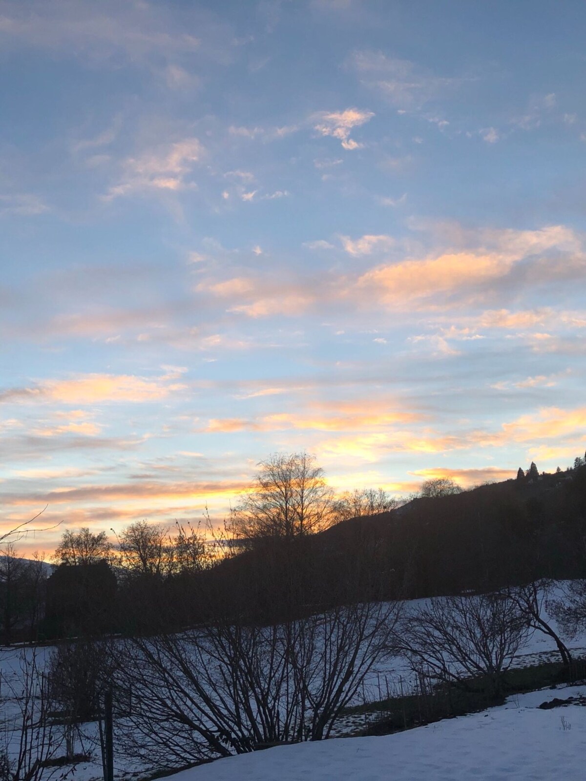 Superbe logement entouré de nature à Veyras